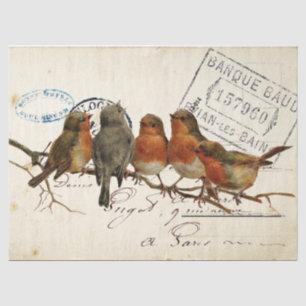 Carte Postale Vogel Set 3 von 4 Europäische Rotkeh Seidenpapier