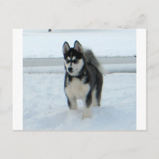 Carte Postale Voici le problème