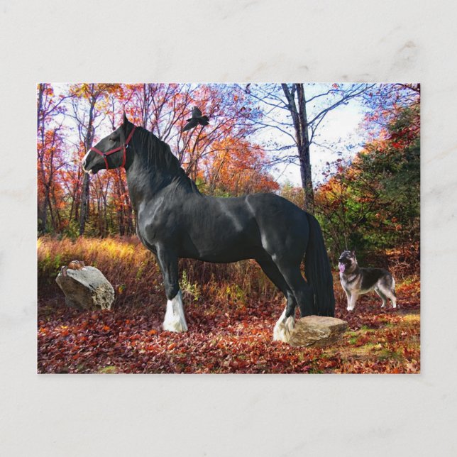 Carte postale "Voici le soleil" (Devant)