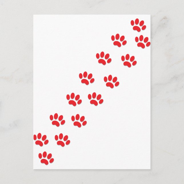 Carte Postale Voici les pattes de chat Kitty (Devant)