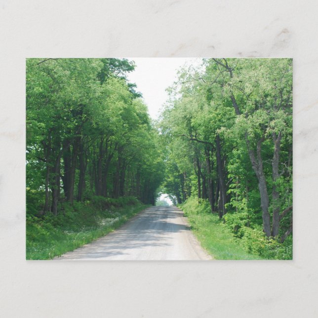 Carte postale Voie en bois (Devant)