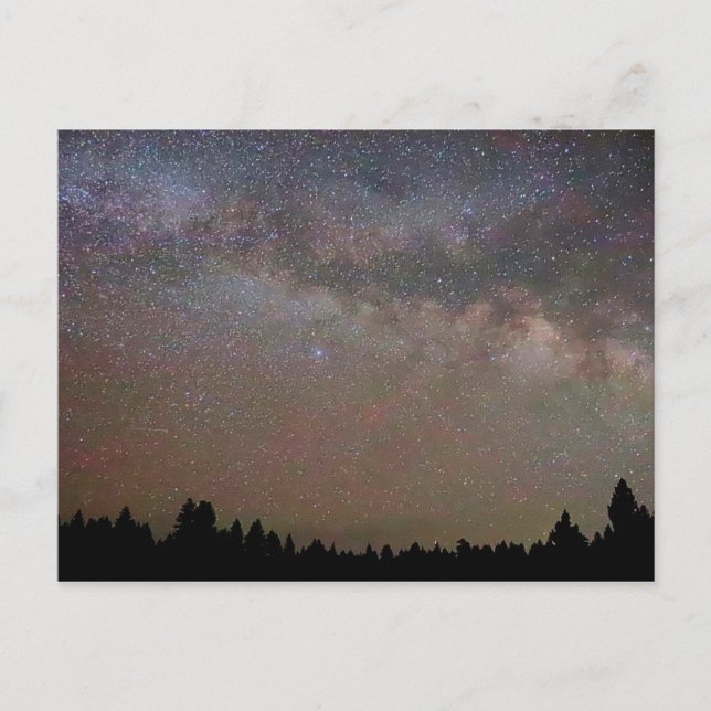 Carte Postale Voie Lactée et étoiles, Ciel nocturne sur les pins (Devant)