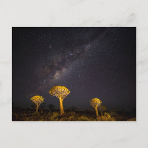 Carte Postale Voie lactée Quiver Tree Keetmanshoop Namibie