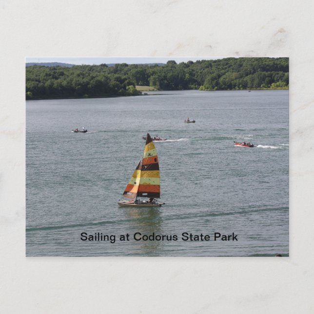 Carte Postale Voile sur le lac (Devant)