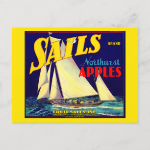 Carte Postale Voiles des années 1930 Pommes du Nord-Ouest crate 