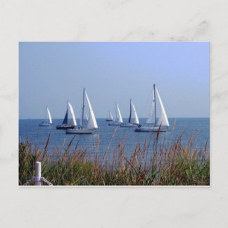 Carte Postale Voiles sur le Chesapeake