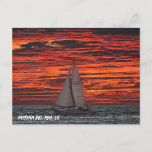 Carte Postale Voilier au coucher du soleil - Marina Del Rey, Cal