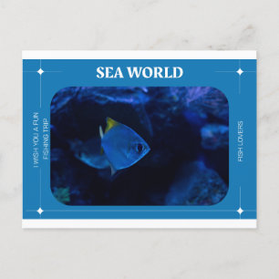 Carte Postale voir le monde