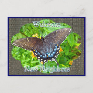 Carte Postale Voisin d'accueil Tiger Swallowtail en phase foncée