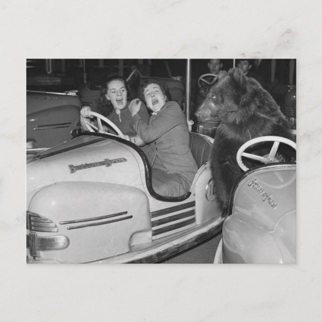 Carte Postale Voitures pare-chocs Victorian Weird a Bear (Devant)