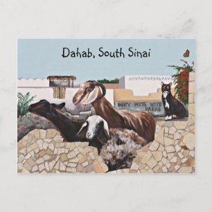 Carte Postale Voix de chèvre III