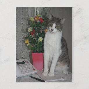 Carte Postale Voix étranges