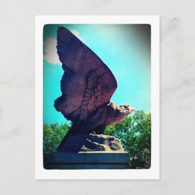 Carte Postale vol d'aigle (Devant)