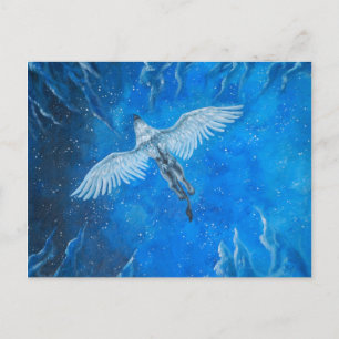 Carte Postale Vol de nuit