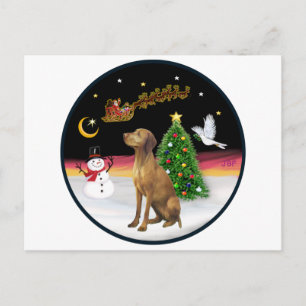Carte Postale Vol de nuit (R) - Vizsla