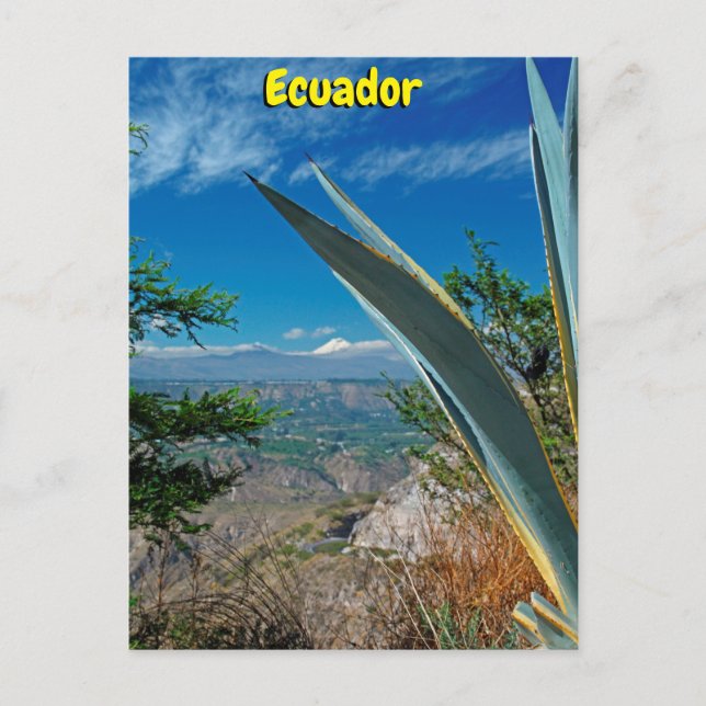 Carte Postale Volcan Cotopaxi, Equateur (Devant)