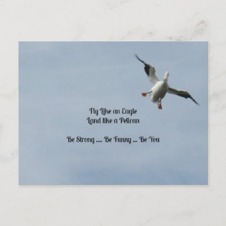 Carte Postale Voler comme un aigle, Terre comme un pélican - Drô
