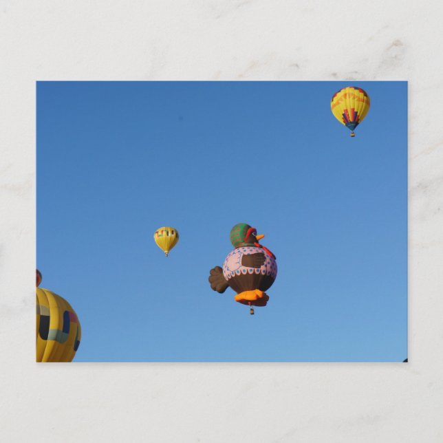 Carte Postale Voler le poulet (Devant)