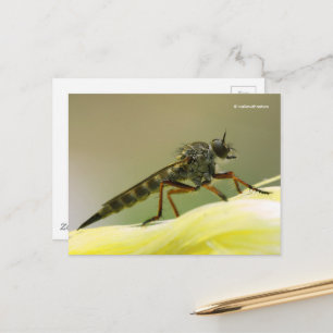 Carte Postale Voler Voler Voler Voler Voler Voler