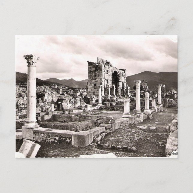 Carte Postale Volubilus (Devant)
