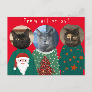Carte Postale Vos 3 chats dans des pulls de Noël