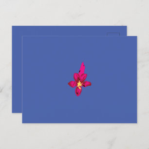 Carte Postale Vos vacances dans votre poche