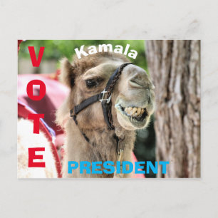 Carte Postale Vote