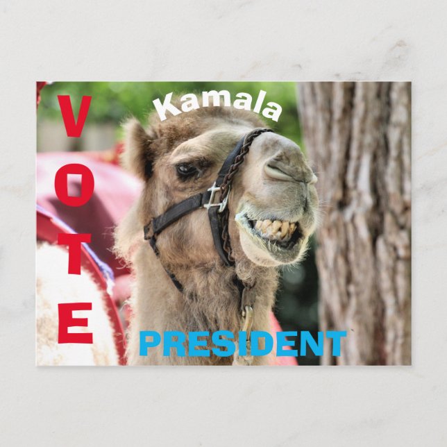 Carte Postale Vote (Devant)
