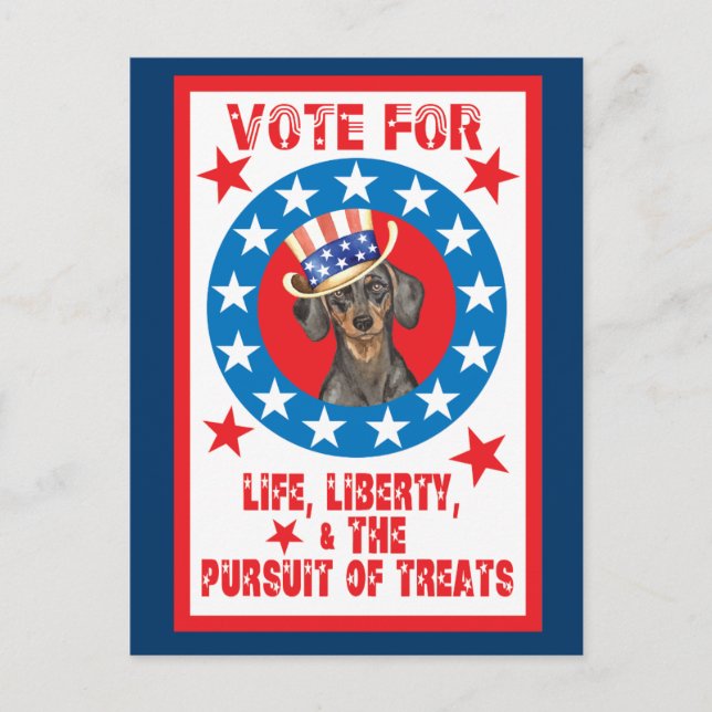 Carte Postale Vote pour Dachshund (Devant)