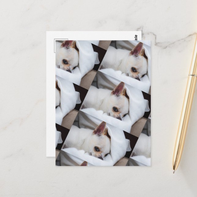 Carte Postale Votre chiot chien de compagnie photo personnalisée (Devant/Arrière en situation)