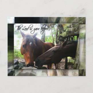 Carte Postale Votre gardien