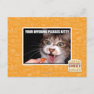 Carte Postale Votre Offre Plaise Kitty