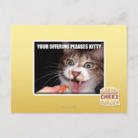 Votre Offre Plaise Kitty