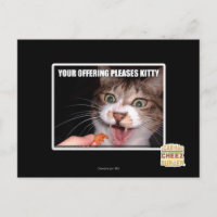 Votre Offre Plaise Kitty