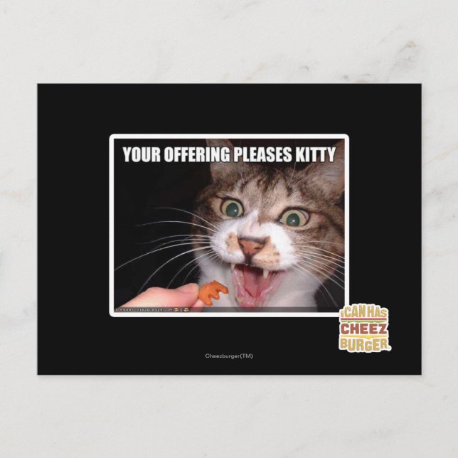 Carte Postale Votre Offre Plaise Kitty (Devant)