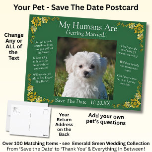 Carte Postale Votre photo d'animal de compagnie Émeraude verte &