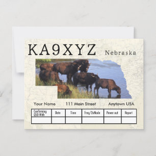 Carte Postale Votre photo Nebraska façonné découpe QSL personnal