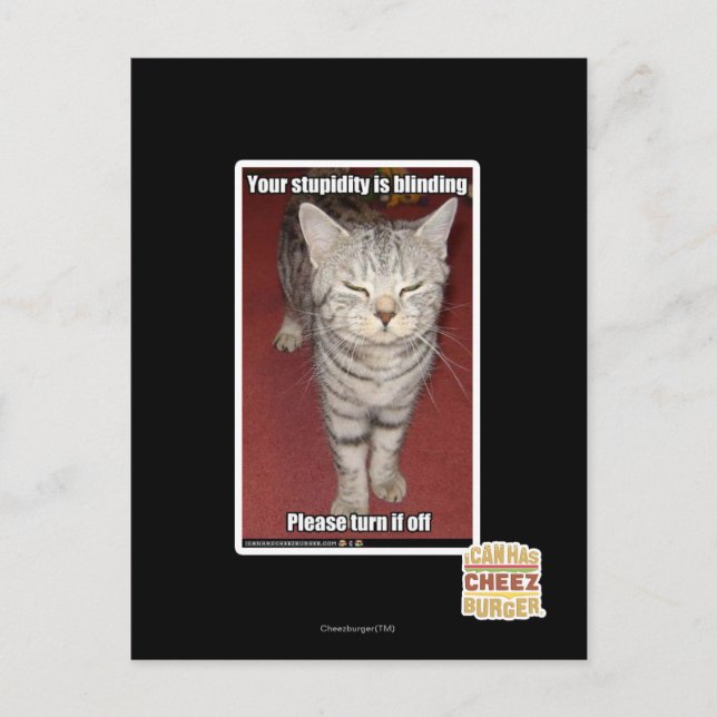Carte Postale Votre stupidité aveugle 2 (Devant)