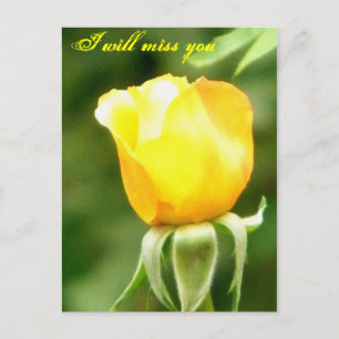 Carte Postale Vous allez manquer/N'importe quelle Occasions_Post