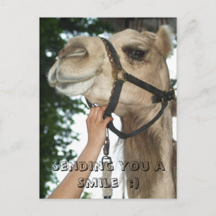 Carte Postale Vous envoyant un sourire :)