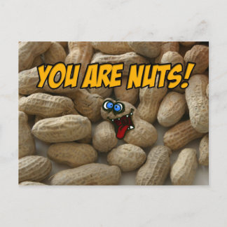 Carte Postale vous êtes dingues !