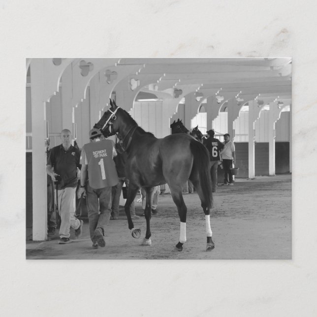 Carte Postale Vous êtes en train de me tuer par Adios Charlie (Devant)