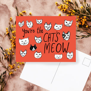 Carte Postale VOUS ÊTES LE CRÈME DE LA CRÈME Mignons Chatons  Ca