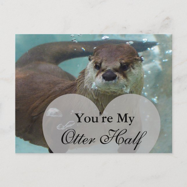 Carte Postale Vous êtes ma Otter Half Brown River Otter Natation (Devant)