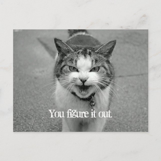 Carte Postale "Vous le comprenez" Crabby Cat (Devant)