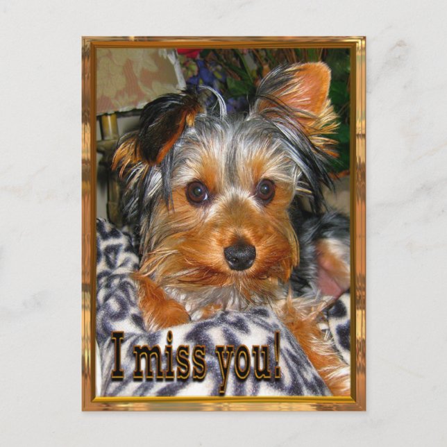 Carte Postale VOUS manquant (Devant)