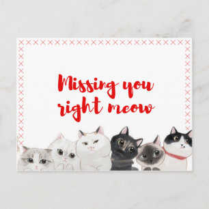 Carte Postale Vous Manquez À Droite Meow