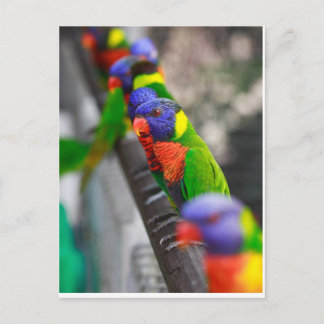 Carte Postale Vous me cherchez ?