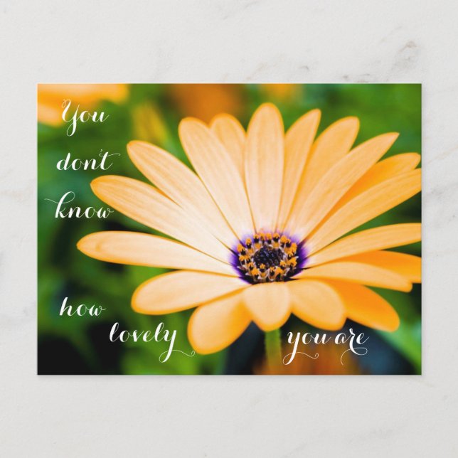 Carte Postale Vous ne savez pas à quel point vous êtes charmant (Devant)