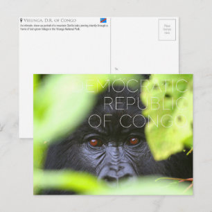 Carte Postale Voyage à Virunga, République démocratique du Congo